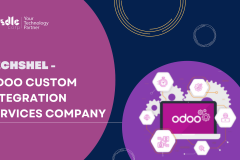 TechShel - Odoo Custom Integration Services